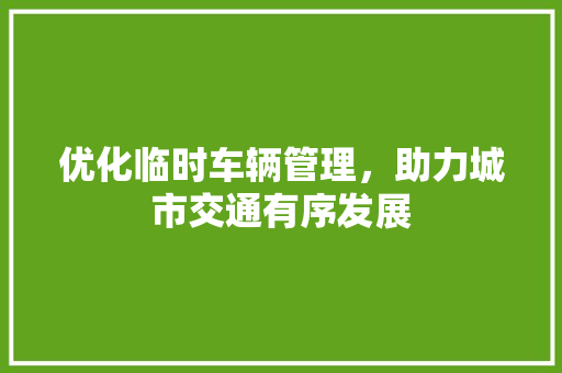 优化临时车辆管理，助力城市交通有序发展