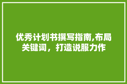 优秀计划书撰写指南,布局关键词，打造说服力作