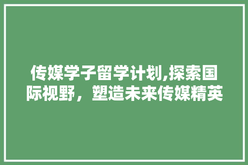 传媒学子留学计划,探索国际视野，塑造未来传媒精英