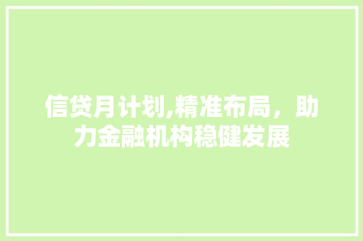 信贷月计划,精准布局，助力金融机构稳健发展