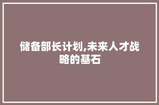 储备部长计划,未来人才战略的基石