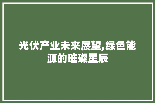 光伏产业未来展望,绿色能源的璀璨星辰