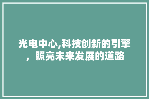 光电中心,科技创新的引擎，照亮未来发展的道路