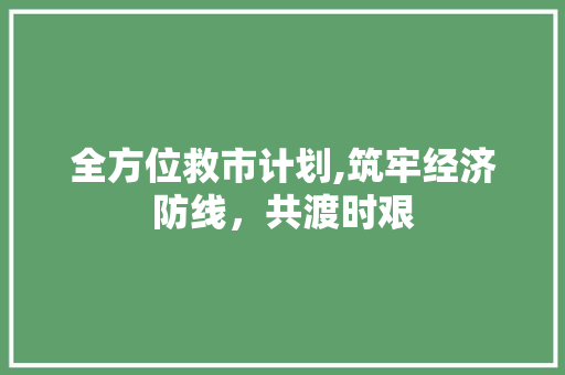 全方位救市计划,筑牢经济防线，共渡时艰