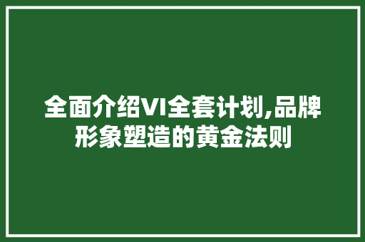 全面介绍VI全套计划,品牌形象塑造的黄金法则