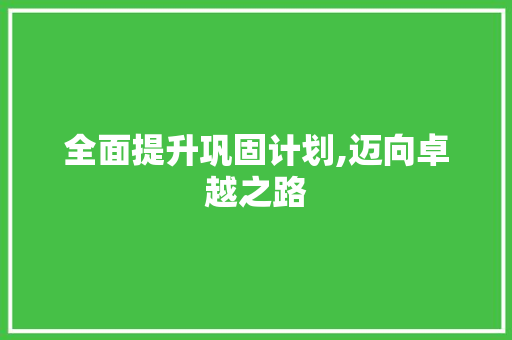 全面提升巩固计划,迈向卓越之路