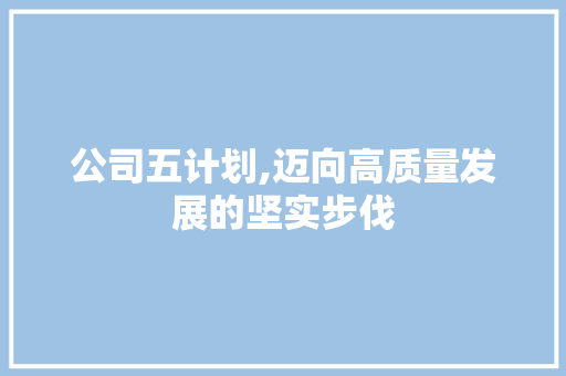 公司五计划,迈向高质量发展的坚实步伐