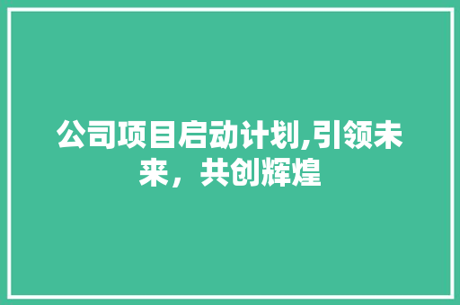 公司项目启动计划,引领未来，共创辉煌