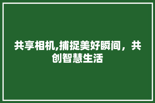 共享相机,捕捉美好瞬间，共创智慧生活