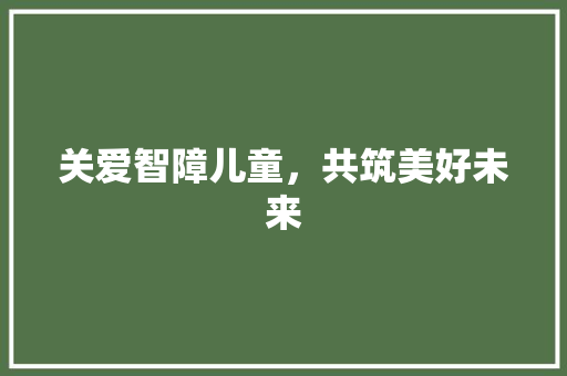 关爱智障儿童，共筑美好未来