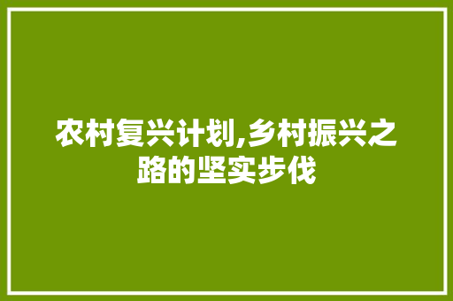 农村复兴计划,乡村振兴之路的坚实步伐