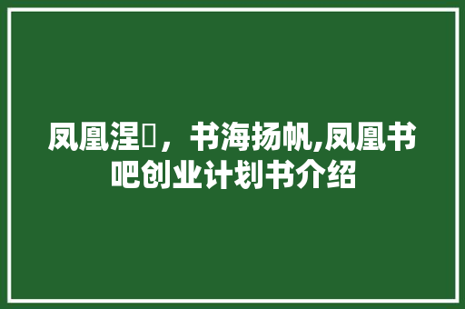 凤凰涅槃，书海扬帆,凤凰书吧创业计划书介绍