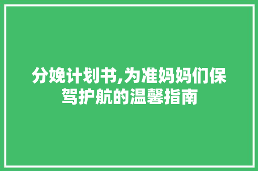 分娩计划书,为准妈妈们保驾护航的温馨指南