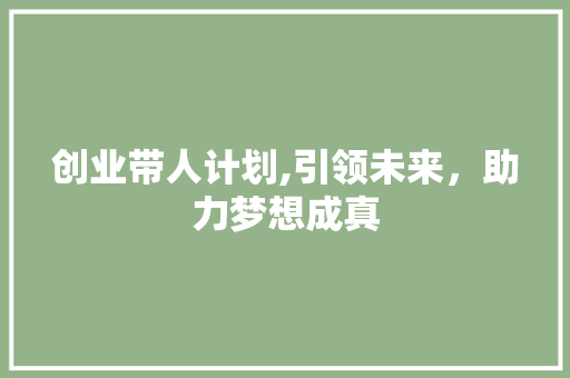 创业带人计划,引领未来，助力梦想成真