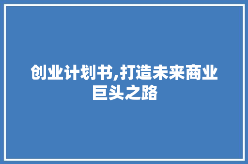 创业计划书,打造未来商业巨头之路