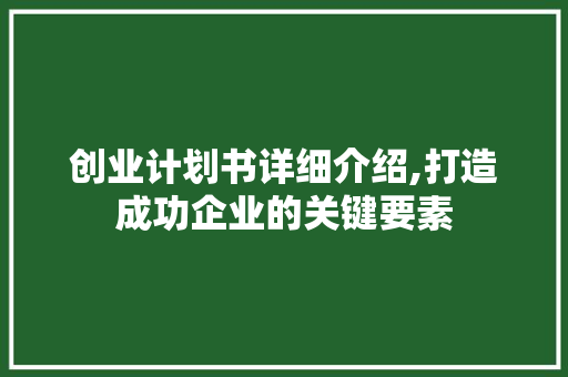 创业计划书详细介绍,打造成功企业的关键要素