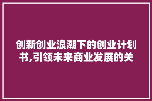 创新创业浪潮下的创业计划书,引领未来商业发展的关键