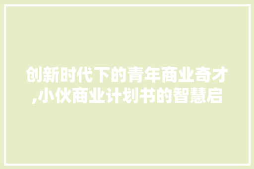 创新时代下的青年商业奇才,小伙商业计划书的智慧启示