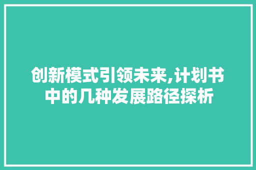 创新模式引领未来,计划书中的几种发展路径探析