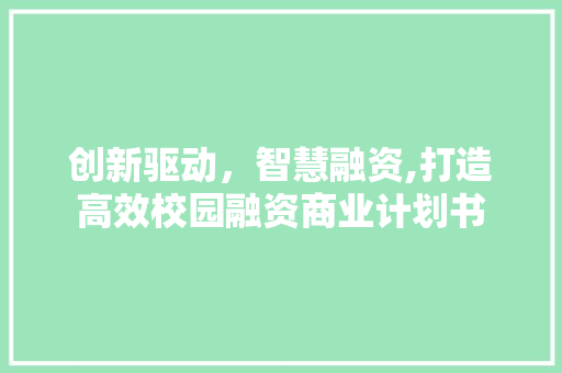 创新驱动，智慧融资,打造高效校园融资商业计划书