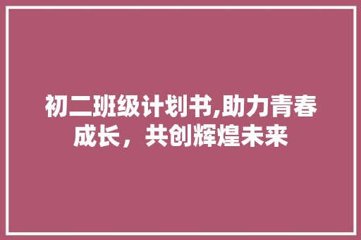 初二班级计划书,助力青春成长，共创辉煌未来