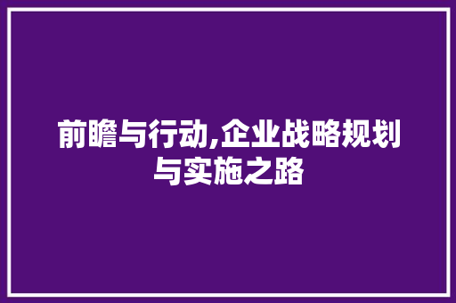 前瞻与行动,企业战略规划与实施之路