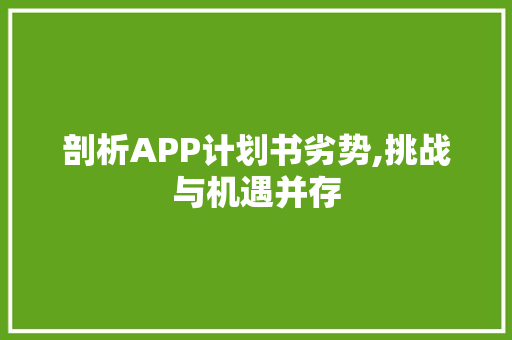 剖析APP计划书劣势,挑战与机遇并存