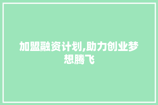 加盟融资计划,助力创业梦想腾飞