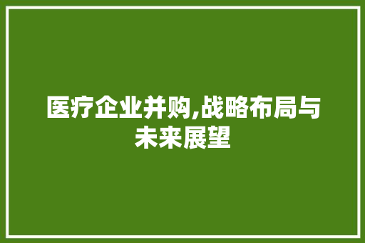 医疗企业并购,战略布局与未来展望