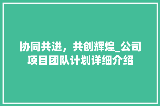 协同共进，共创辉煌_公司项目团队计划详细介绍