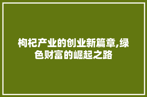 枸杞产业的创业新篇章,绿色财富的崛起之路