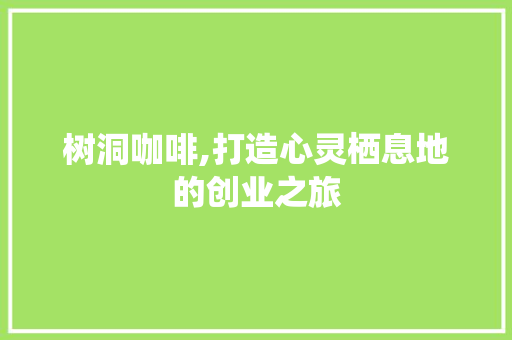 树洞咖啡,打造心灵栖息地的创业之旅