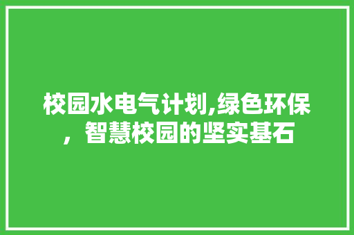 校园水电气计划,绿色环保，智慧校园的坚实基石