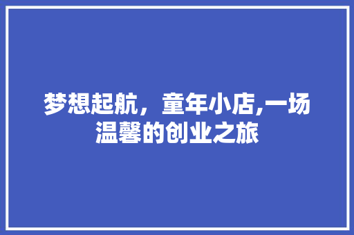 梦想起航，童年小店,一场温馨的创业之旅