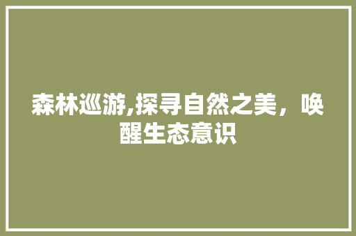 森林巡游,探寻自然之美，唤醒生态意识