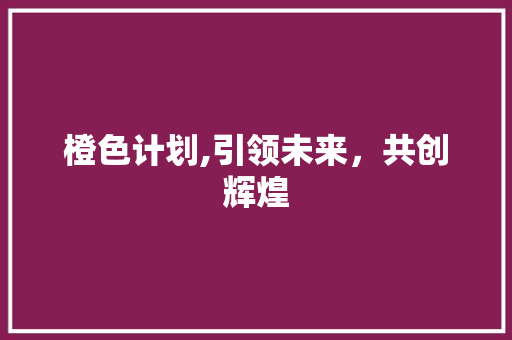 橙色计划,引领未来，共创辉煌