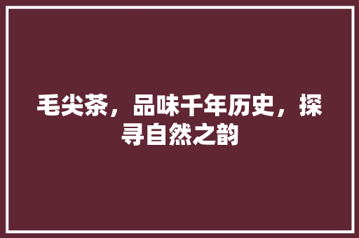 毛尖茶，品味千年历史，探寻自然之韵