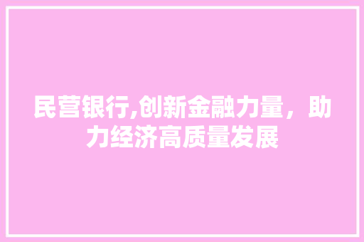 民营银行,创新金融力量，助力经济高质量发展