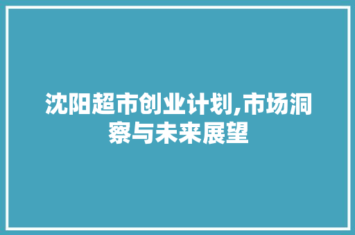 沈阳超市创业计划,市场洞察与未来展望