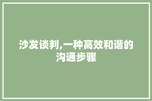 沙发谈判,一种高效和谐的沟通步骤