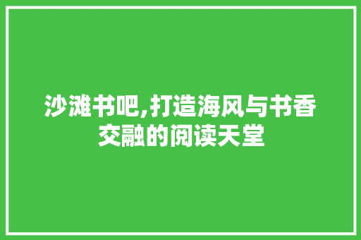 沙滩书吧,打造海风与书香交融的阅读天堂