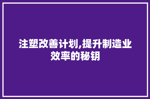 注塑改善计划,提升制造业效率的秘钥