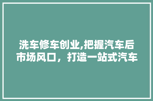 洗车修车创业,把握汽车后市场风口，打造一站式汽车服务新业态