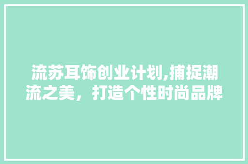 流苏耳饰创业计划,捕捉潮流之美，打造个性时尚品牌