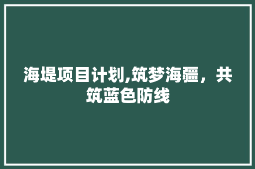 海堤项目计划,筑梦海疆，共筑蓝色防线