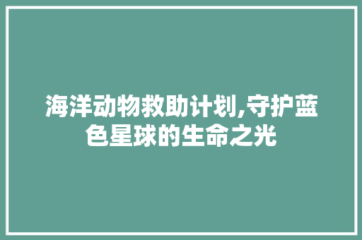 海洋动物救助计划,守护蓝色星球的生命之光