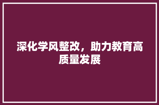 深化学风整改，助力教育高质量发展