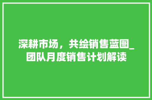 深耕市场，共绘销售蓝图_团队月度销售计划解读