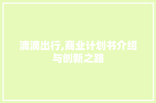 滴滴出行,商业计划书介绍与创新之路