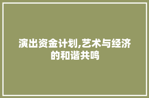 演出资金计划,艺术与经济的和谐共鸣